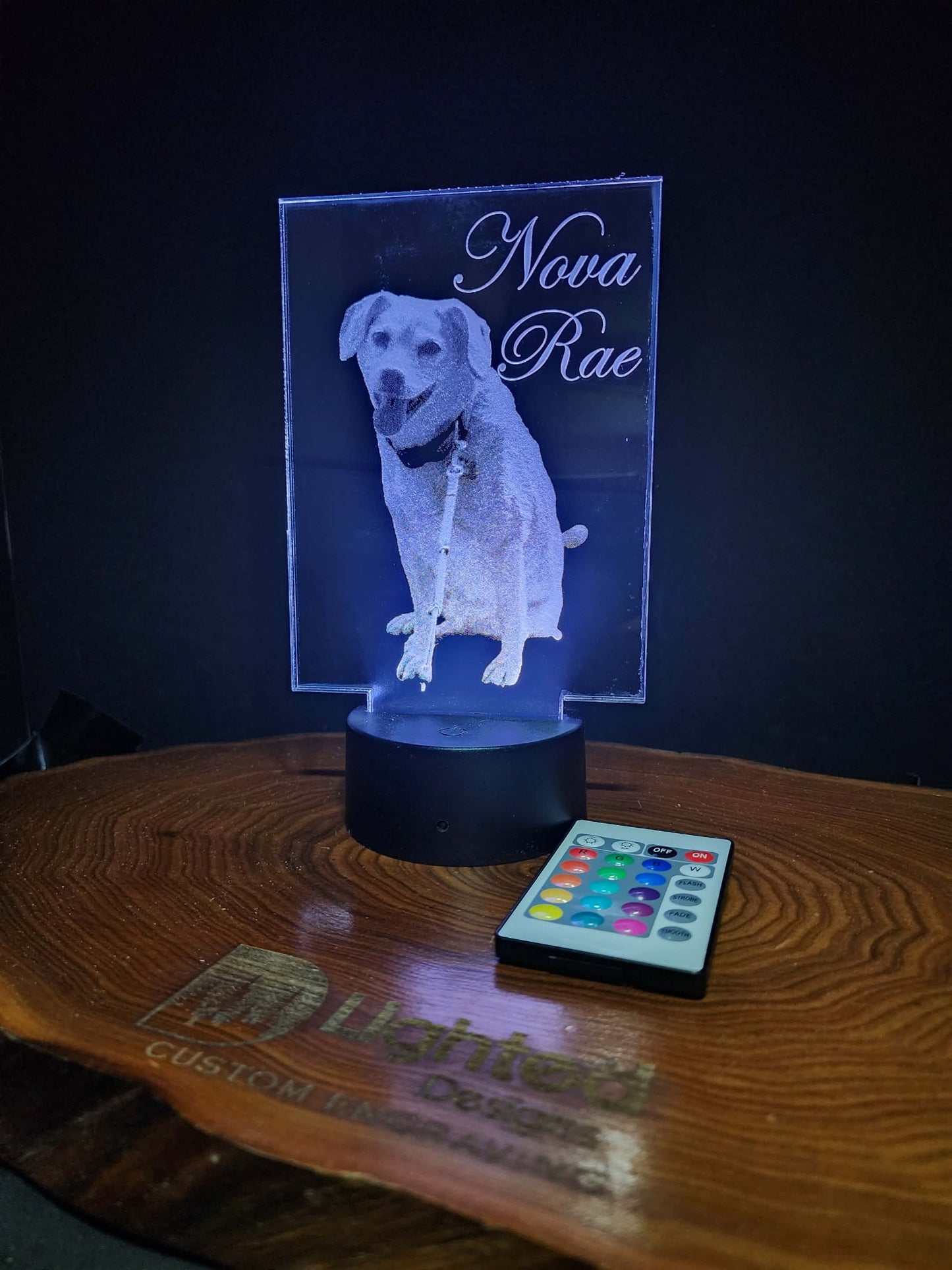 Custom Pet Portrait (mini LED)