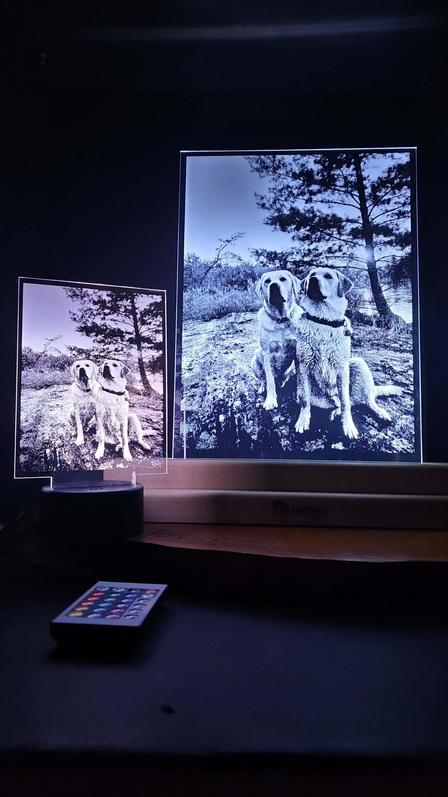 Custom Pet Portrait (mini LED)