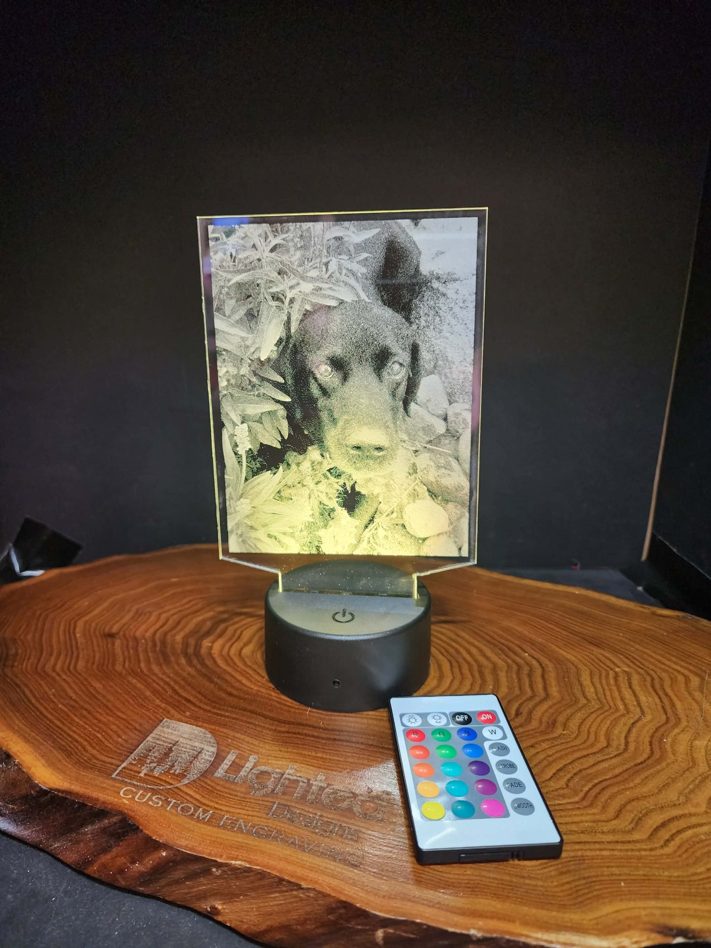 Custom Pet Portrait (mini LED)
