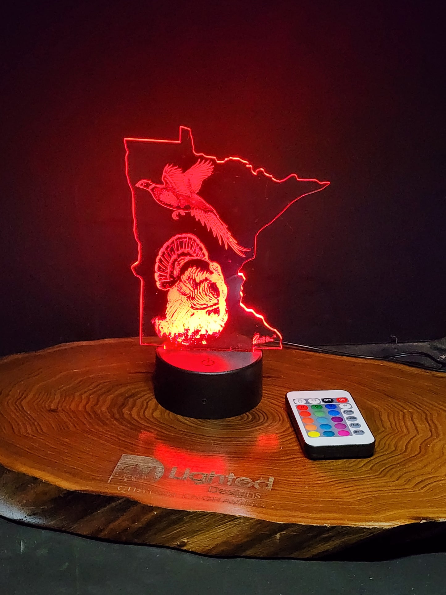 Fly away home (mini LED)