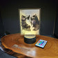 Custom Pet Portrait (mini LED)