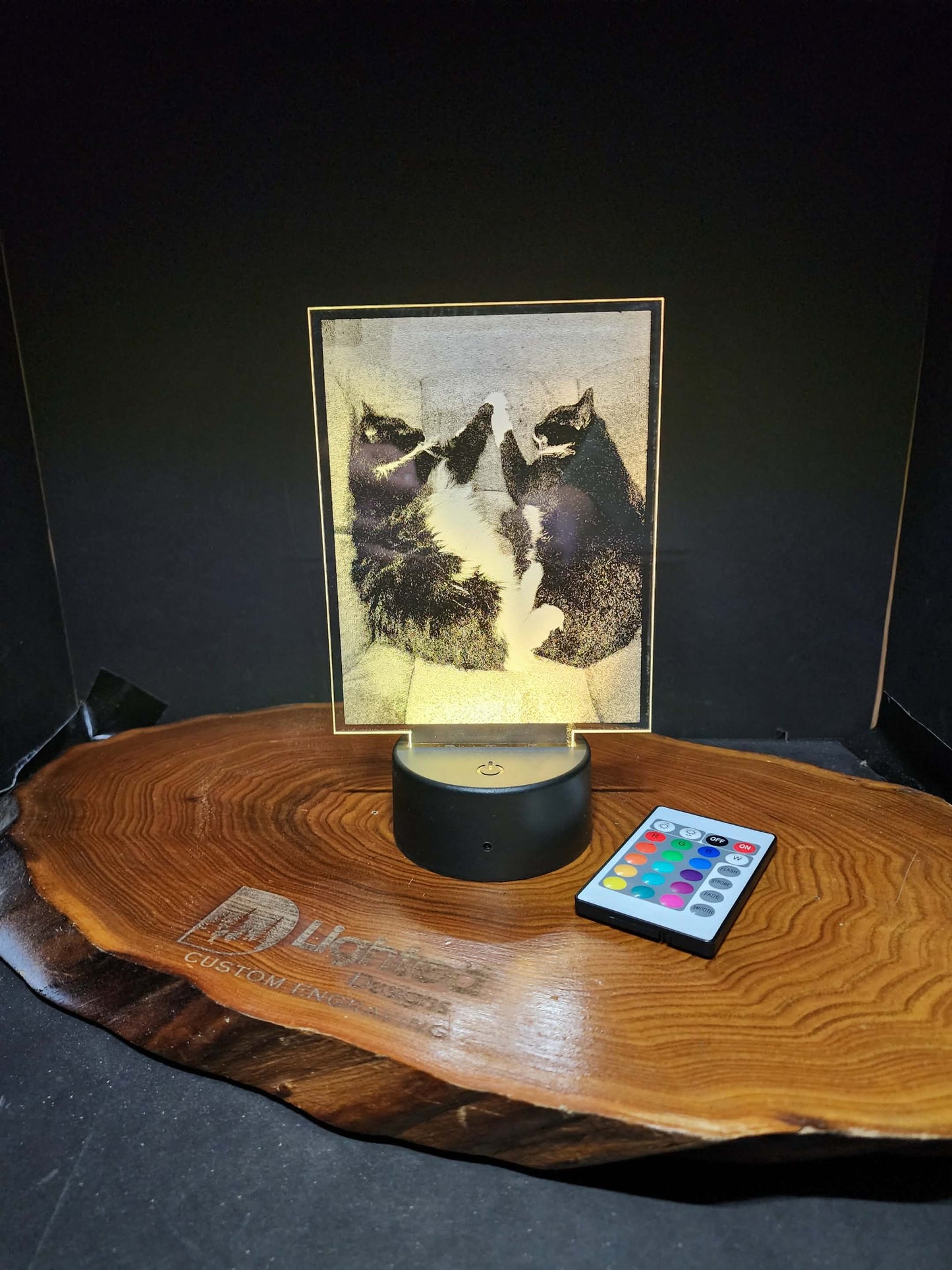 Custom Pet Portrait (mini LED)