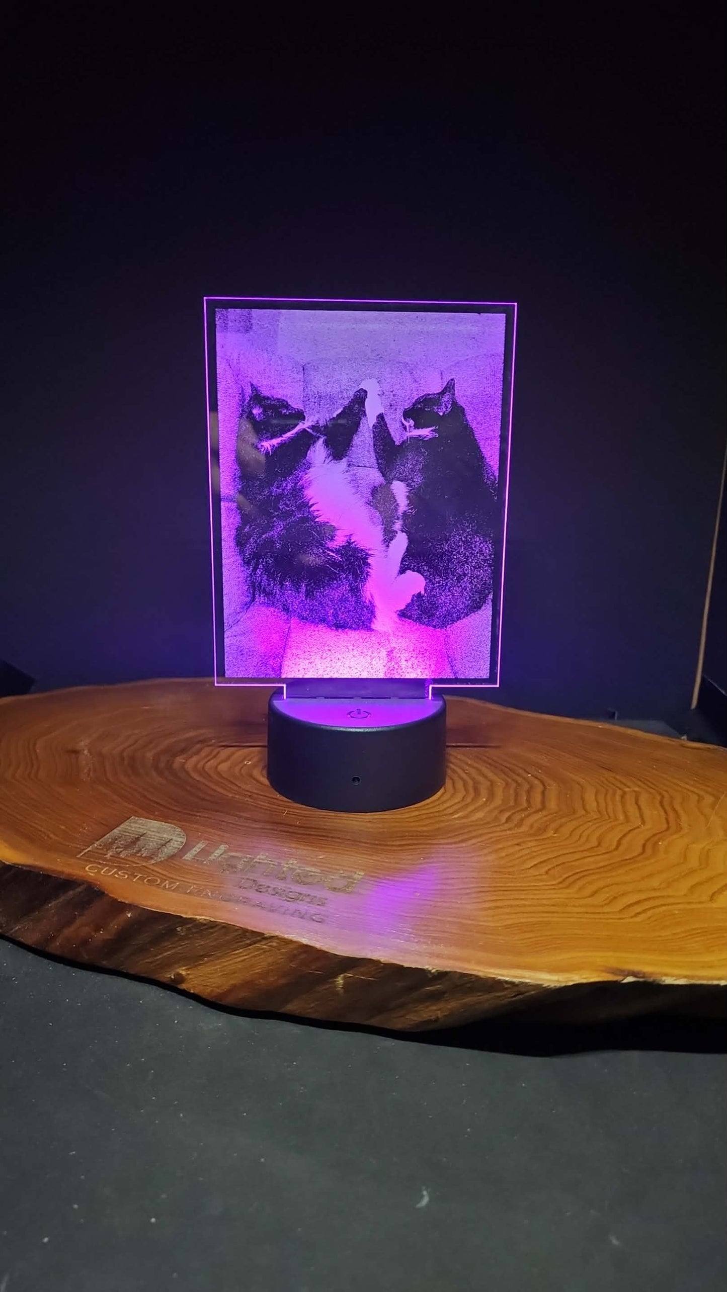 Custom Pet Portrait (mini LED)