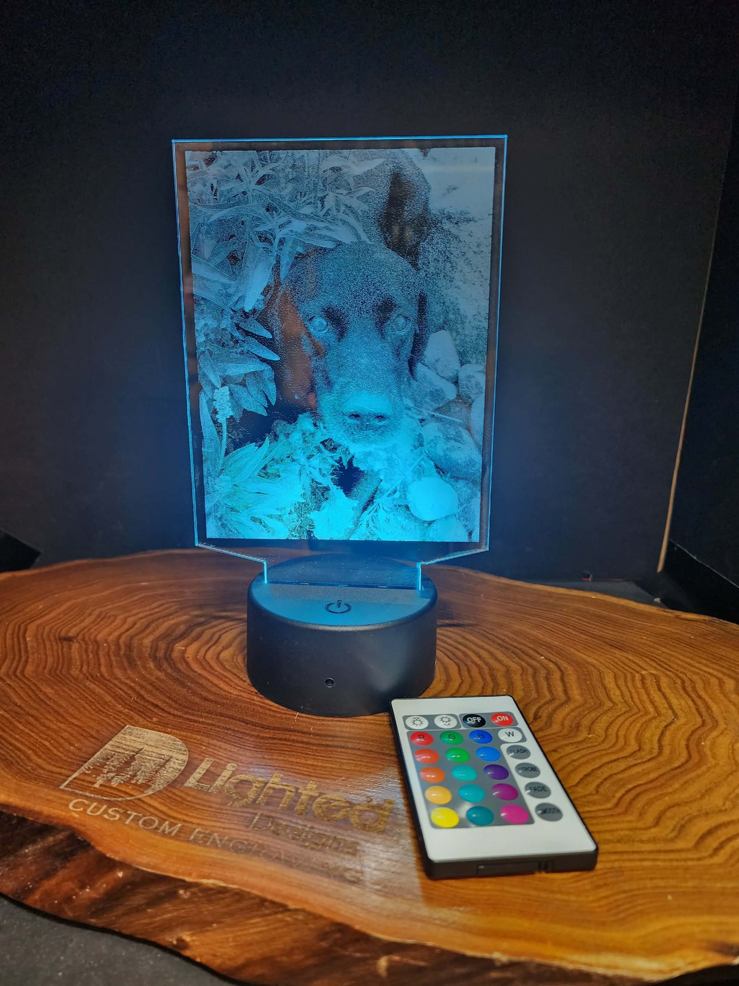 Custom Pet Portrait (mini LED)