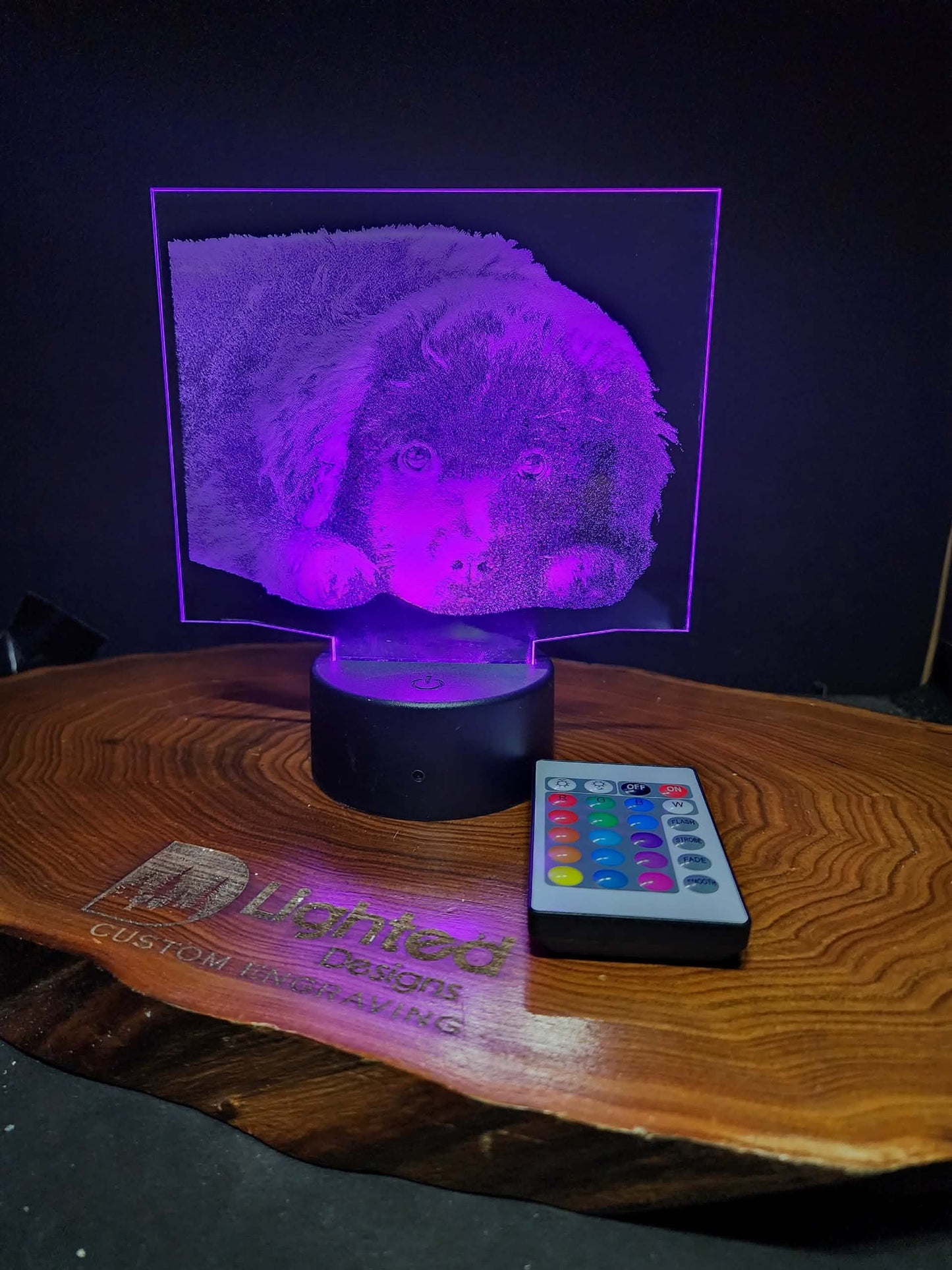 Custom Pet Portrait (mini LED)