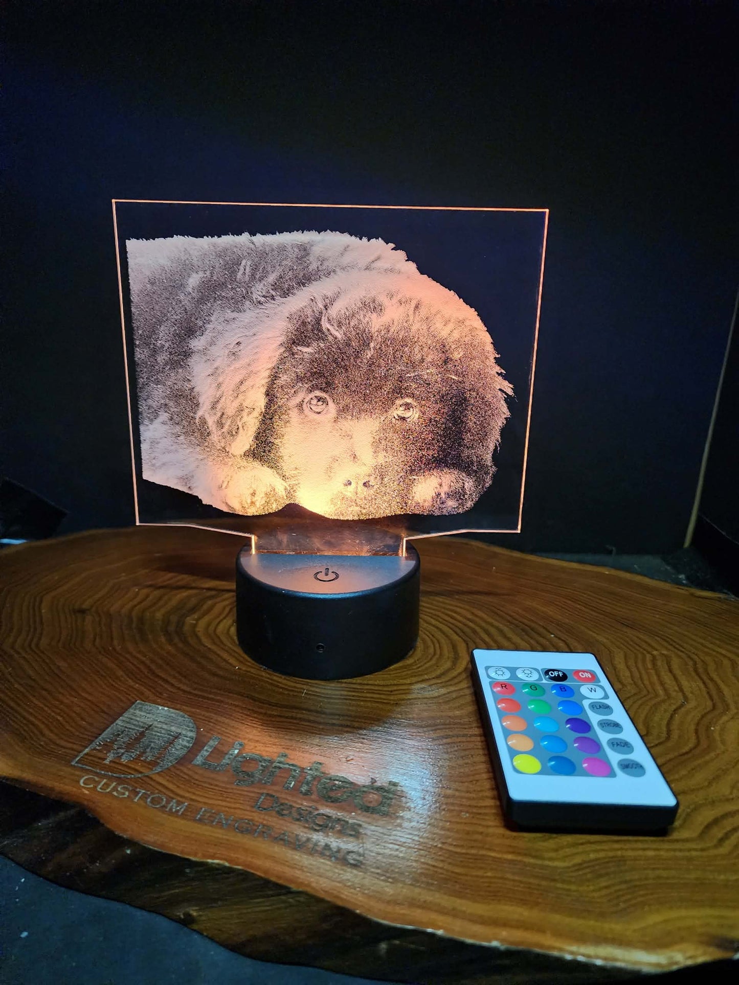 Custom Pet Portrait (mini LED)