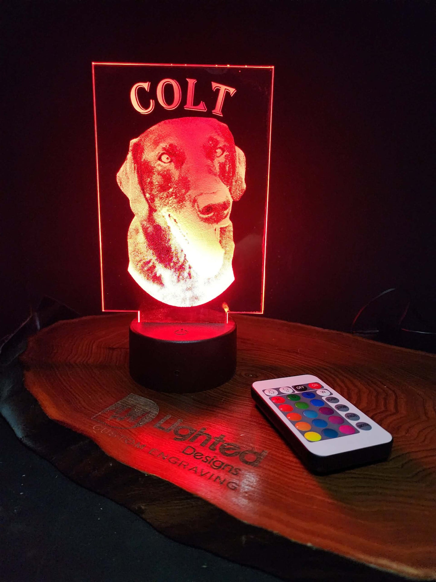 Custom Pet Portrait (mini LED)