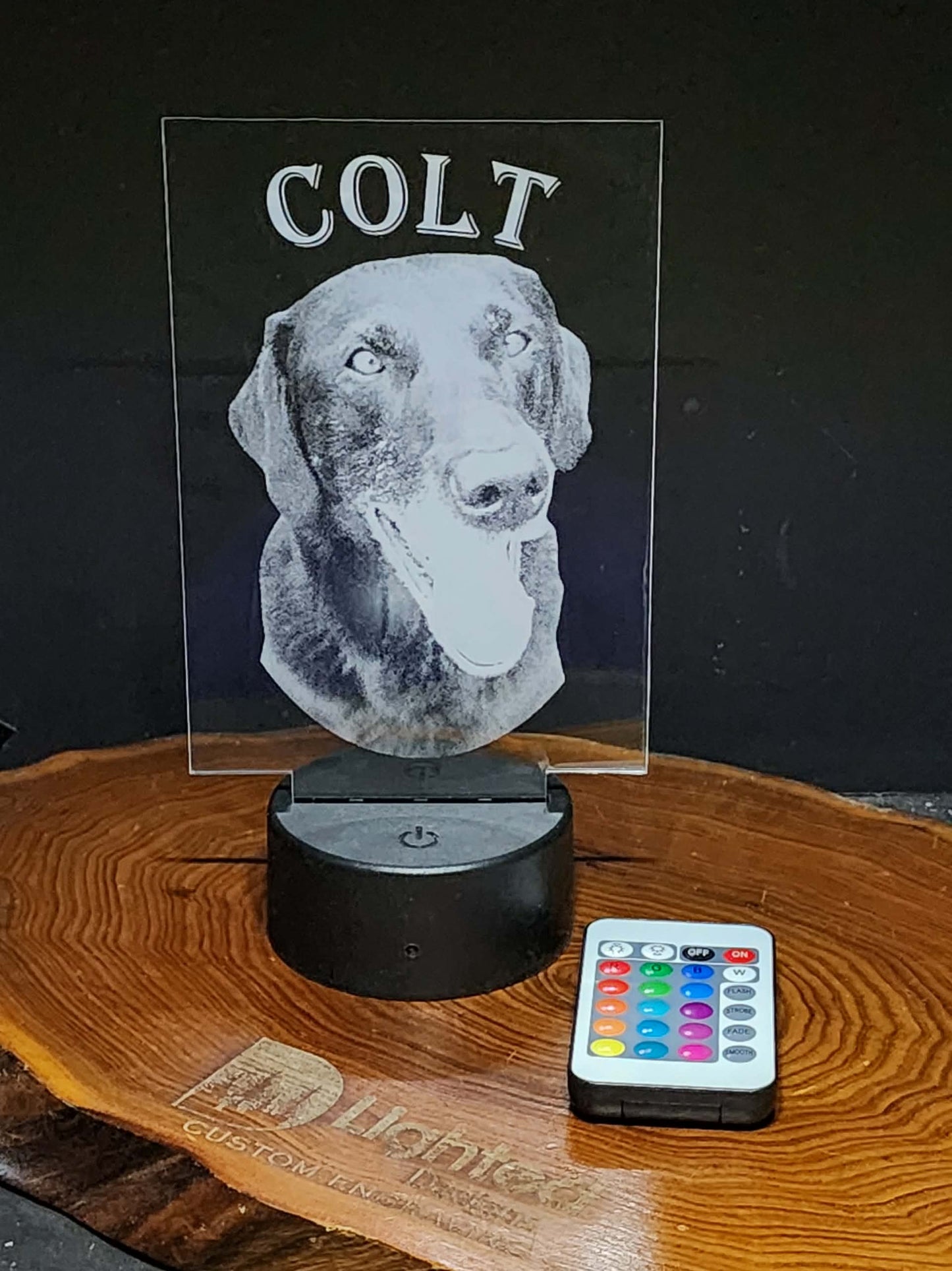 Custom Pet Portrait (mini LED)