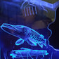 STAND DESIGNS (Customizable)