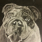 HAND ENGRAVED Pet Portraits