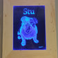 HAND ENGRAVED Pet Portraits