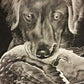 HAND ENGRAVED Pet Portraits