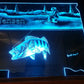 STAND DESIGNS (Customizable)