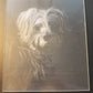 HAND ENGRAVED Pet Portraits