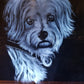 HAND ENGRAVED Pet Portraits