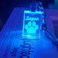 LED Keychains