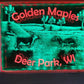 DUAL PANEL LEDs (Customizable)
