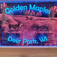 DUAL PANEL LEDs (Customizable)