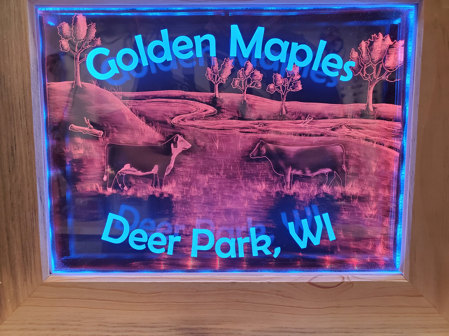 DUAL PANEL LEDs (Customizable)