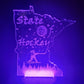 MINI LEDs (Customizable)