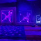THE CATCH (Framed LED)
