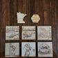 Crappie Night (coaster)