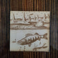 Walleye Wonder (coaster)