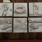 GameDay (coaster)