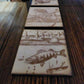 Walleye Wonder (coaster)