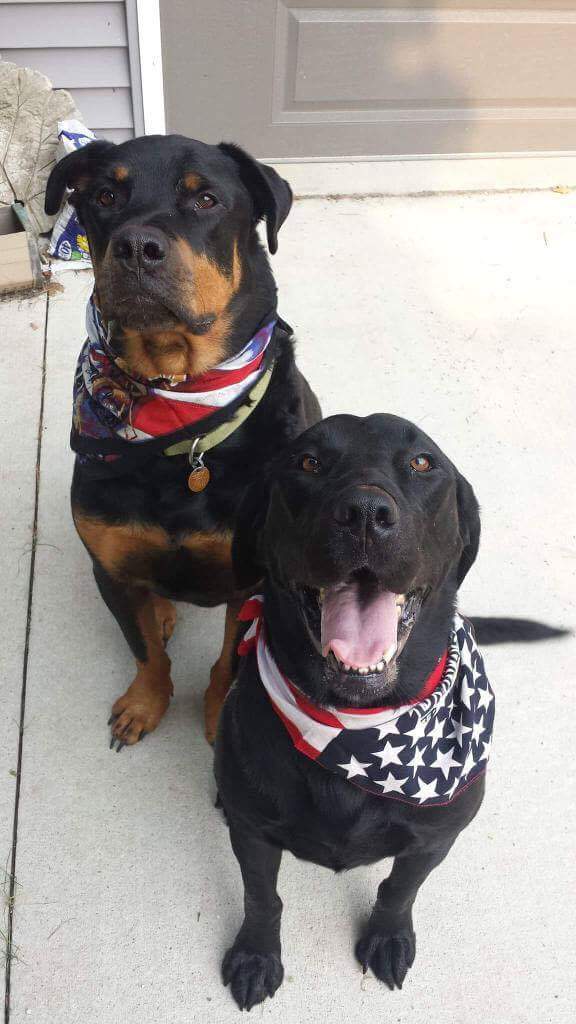 HAND ENGRAVED Pet Portraits